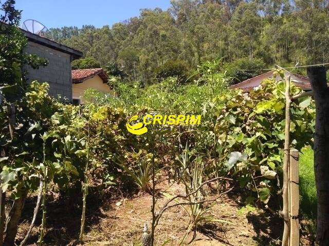 Chácara para Venda em Santa Branca - 5