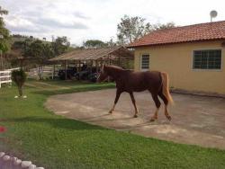 Sítio para Venda em Silveiras - 5