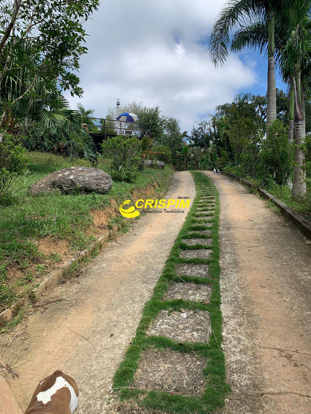 Sítio, 2 hectares - Foto 2