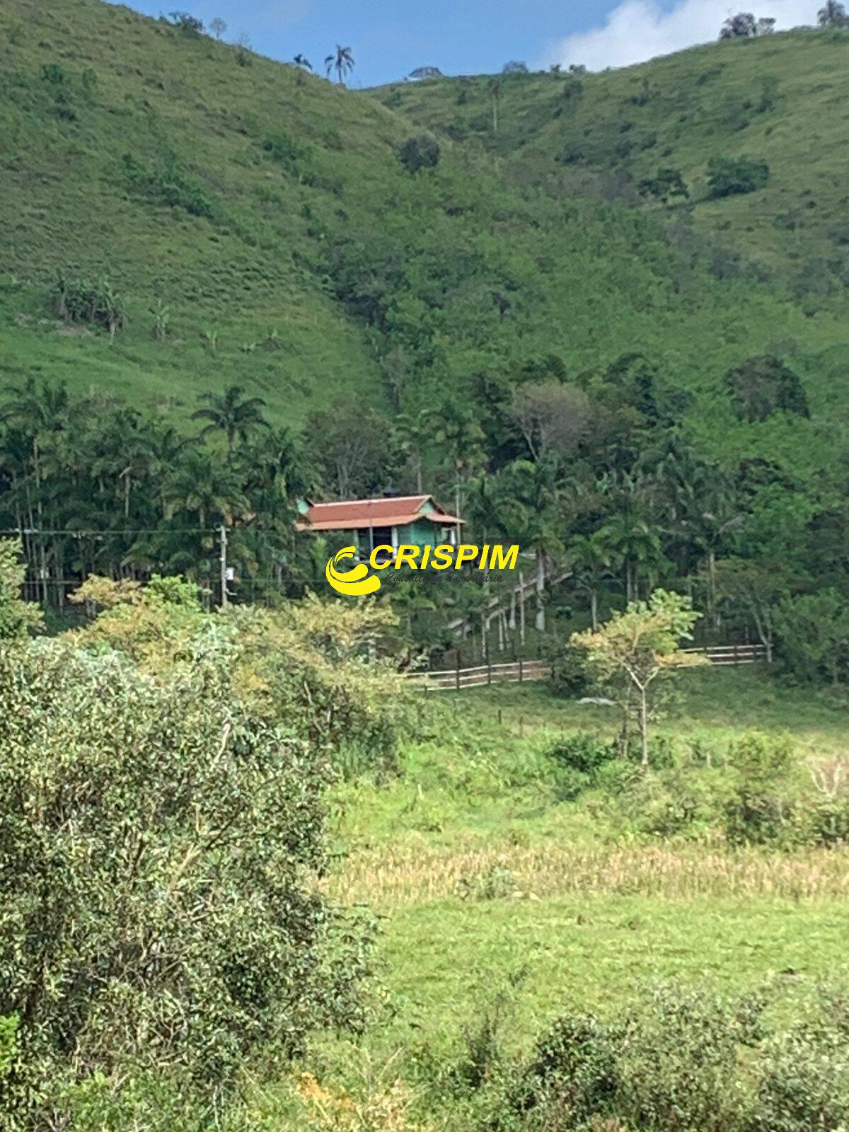 Sítio, 2 hectares - Foto 46