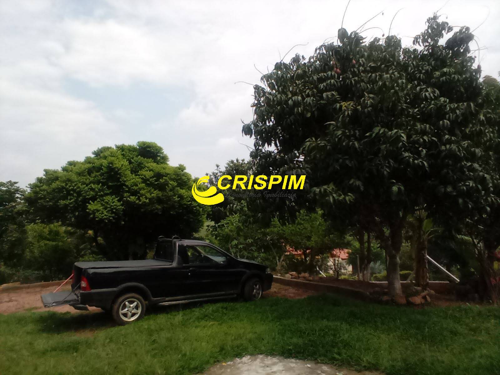 Chácara, 3 quartos, 1000 m² - Foto 4