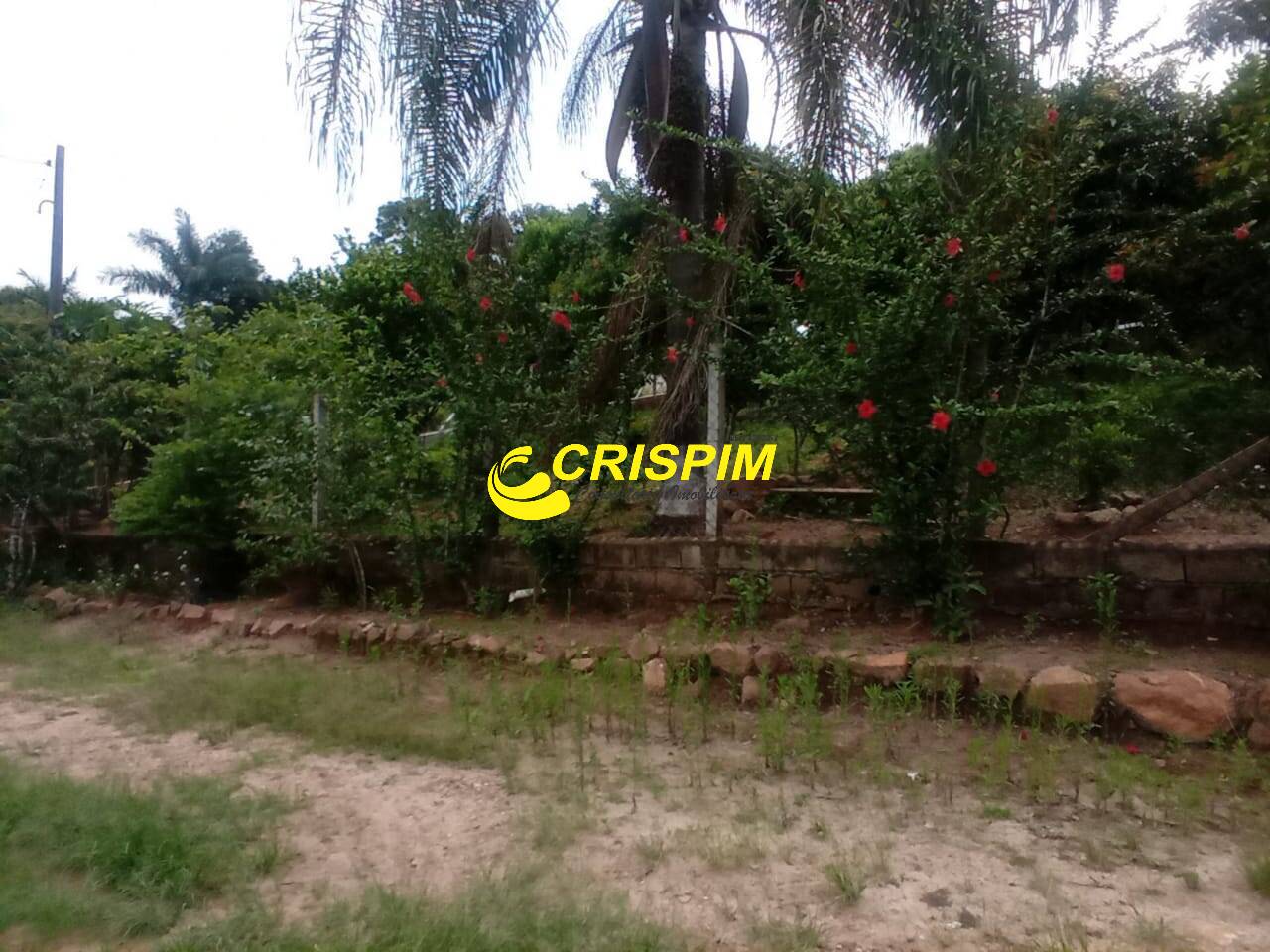 Chácara, 3 quartos, 1000 m² - Foto 7