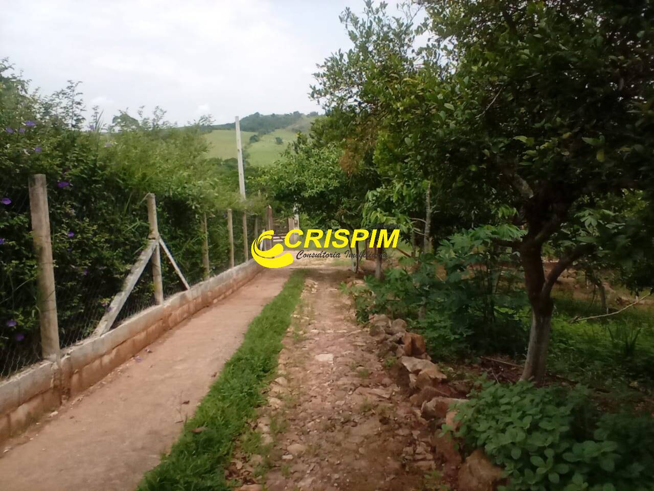 Chácara, 3 quartos, 1000 m² - Foto 9