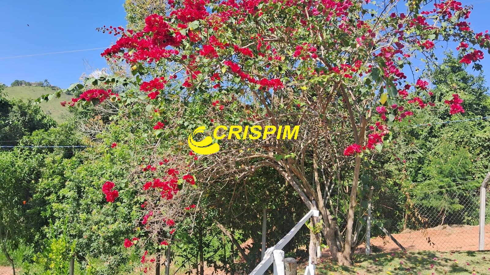 Chácara, 2 quartos, 2400 m² - Foto 44