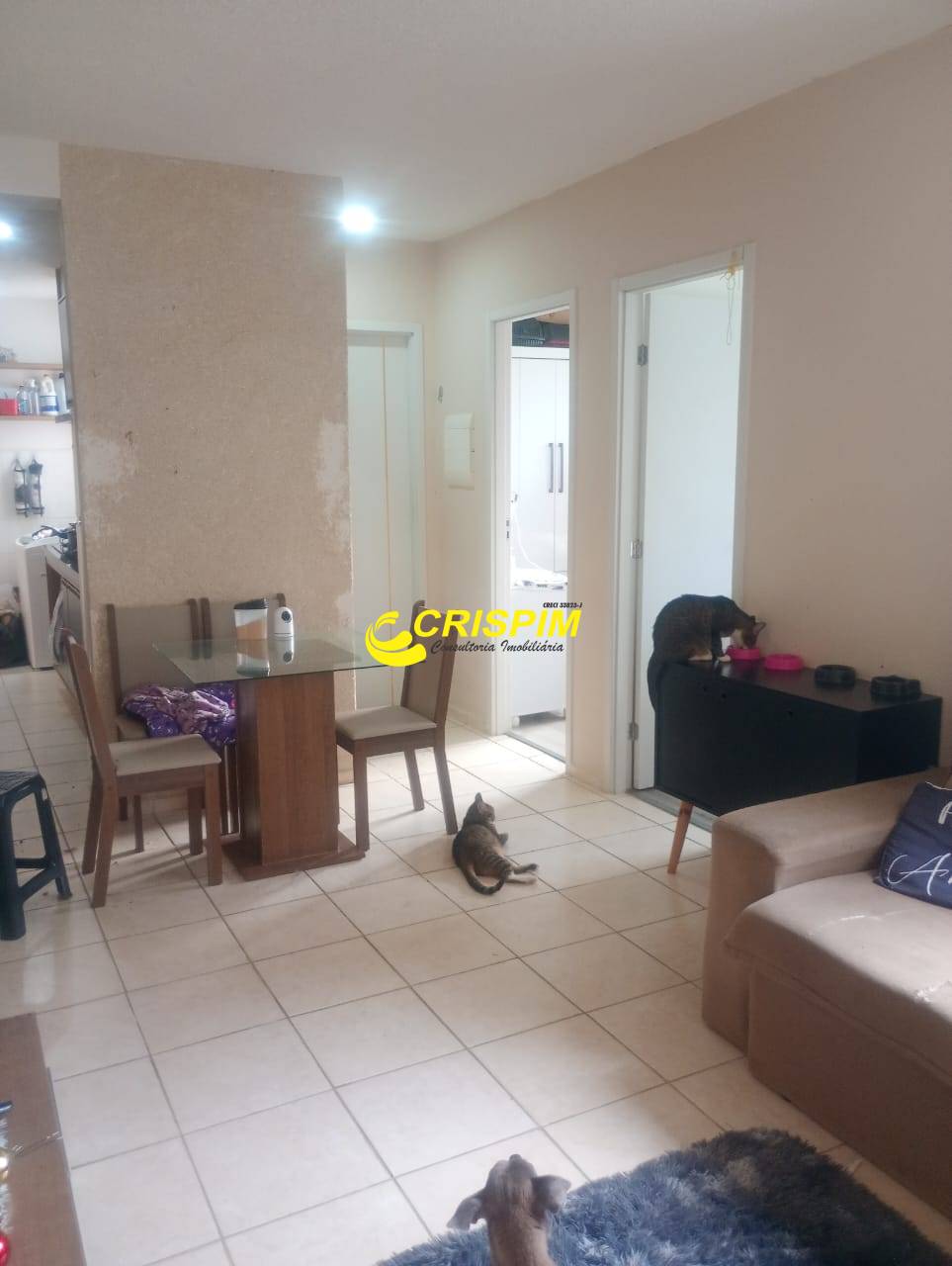 Apartamento, 2 quartos, 45 m² - Foto 2