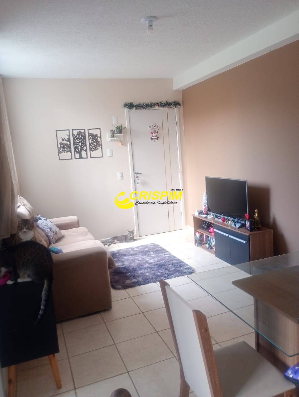 Apartamento, 2 quartos, 45 m² - Foto 8