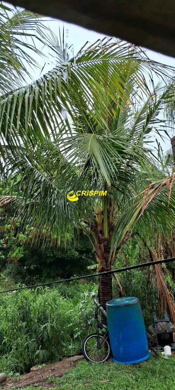 Chácara, 3 quartos, 808 m² - Foto 16