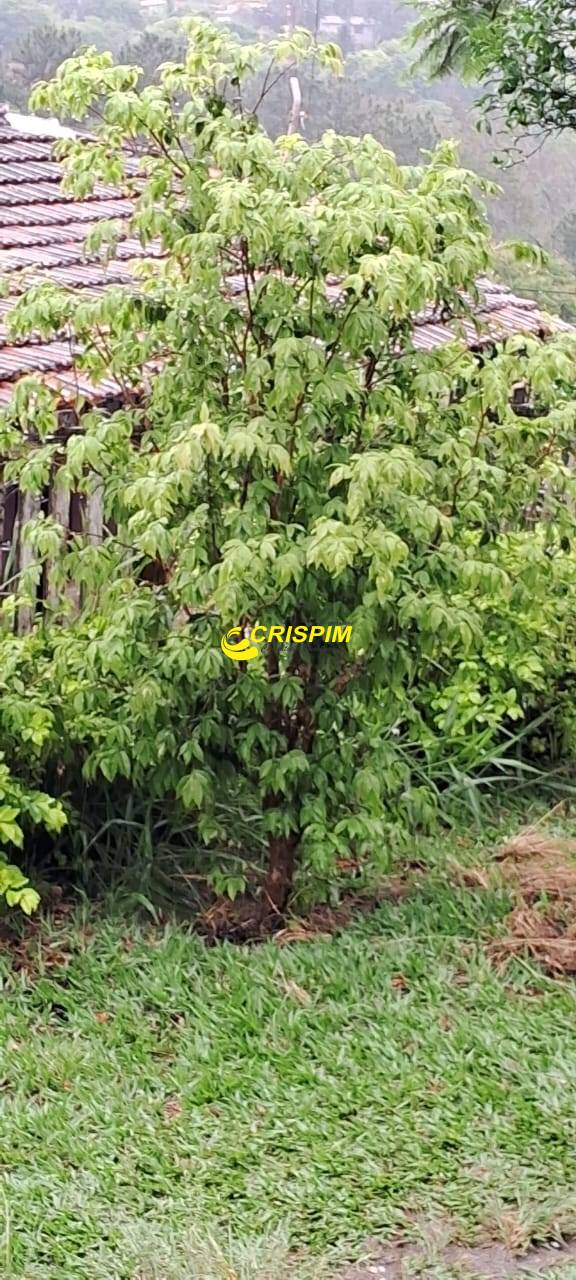 Chácara, 3 quartos, 808 m² - Foto 17