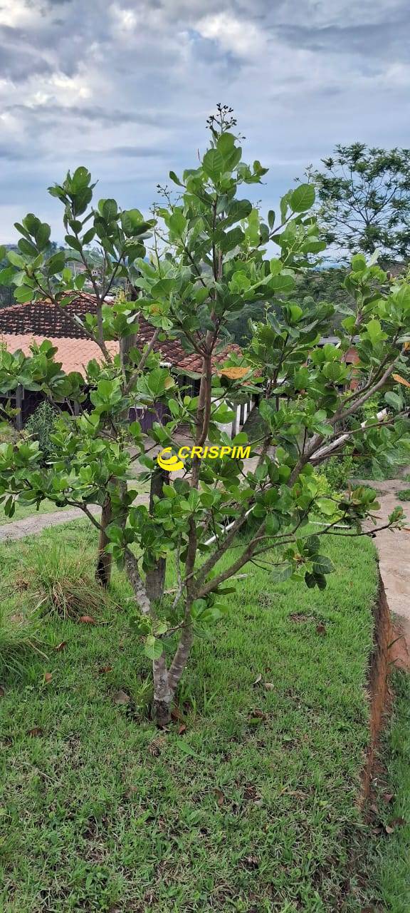 Chácara, 3 quartos, 808 m² - Foto 18