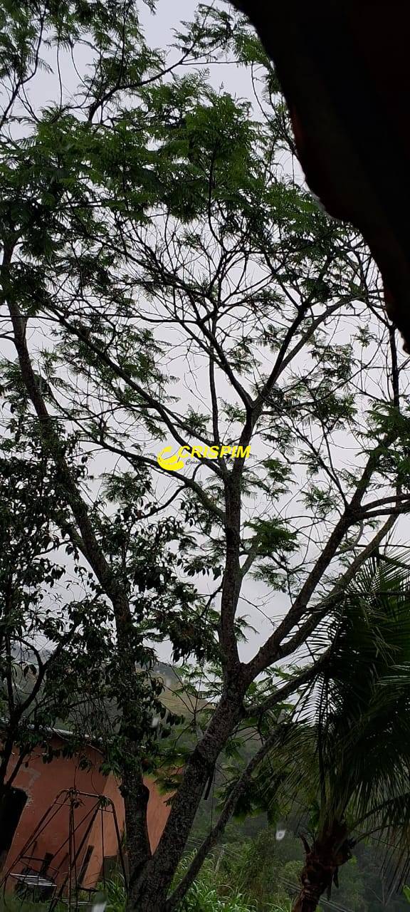 Chácara, 3 quartos, 808 m² - Foto 21