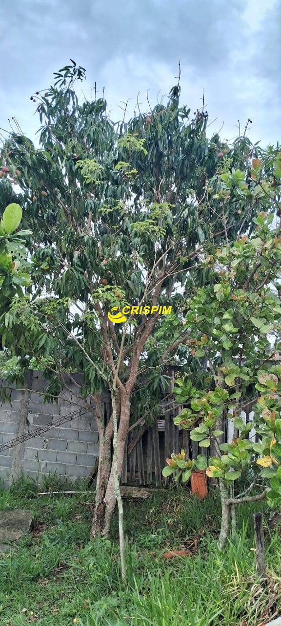 Chácara, 3 quartos, 808 m² - Foto 20