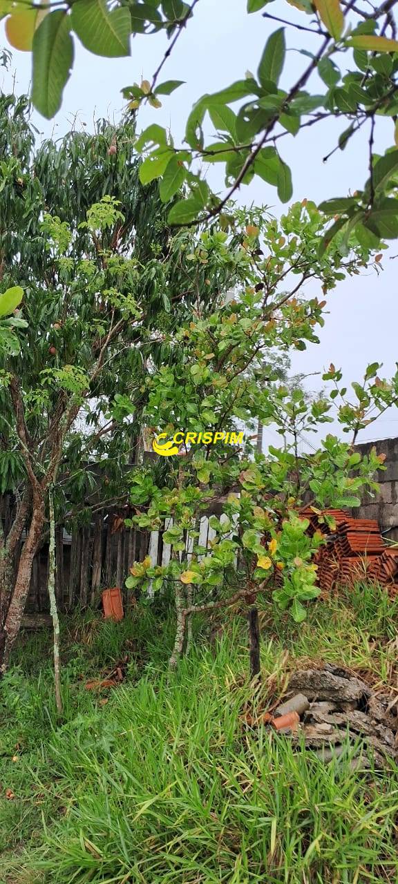 Chácara, 3 quartos, 808 m² - Foto 23