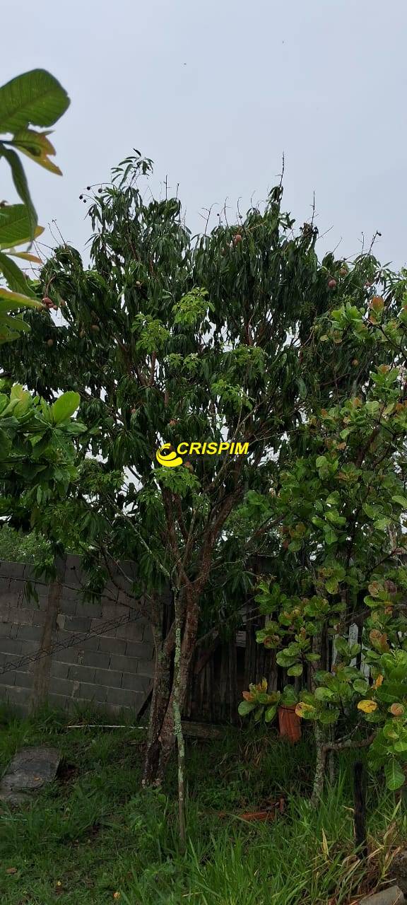 Chácara, 3 quartos, 808 m² - Foto 24