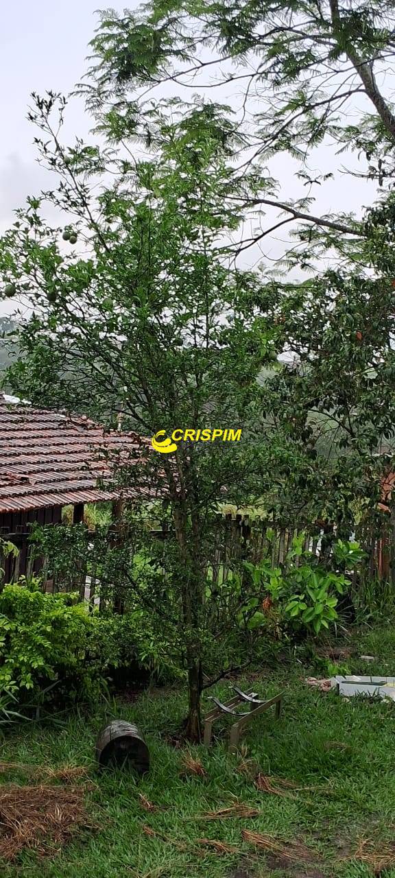 Chácara, 3 quartos, 808 m² - Foto 22