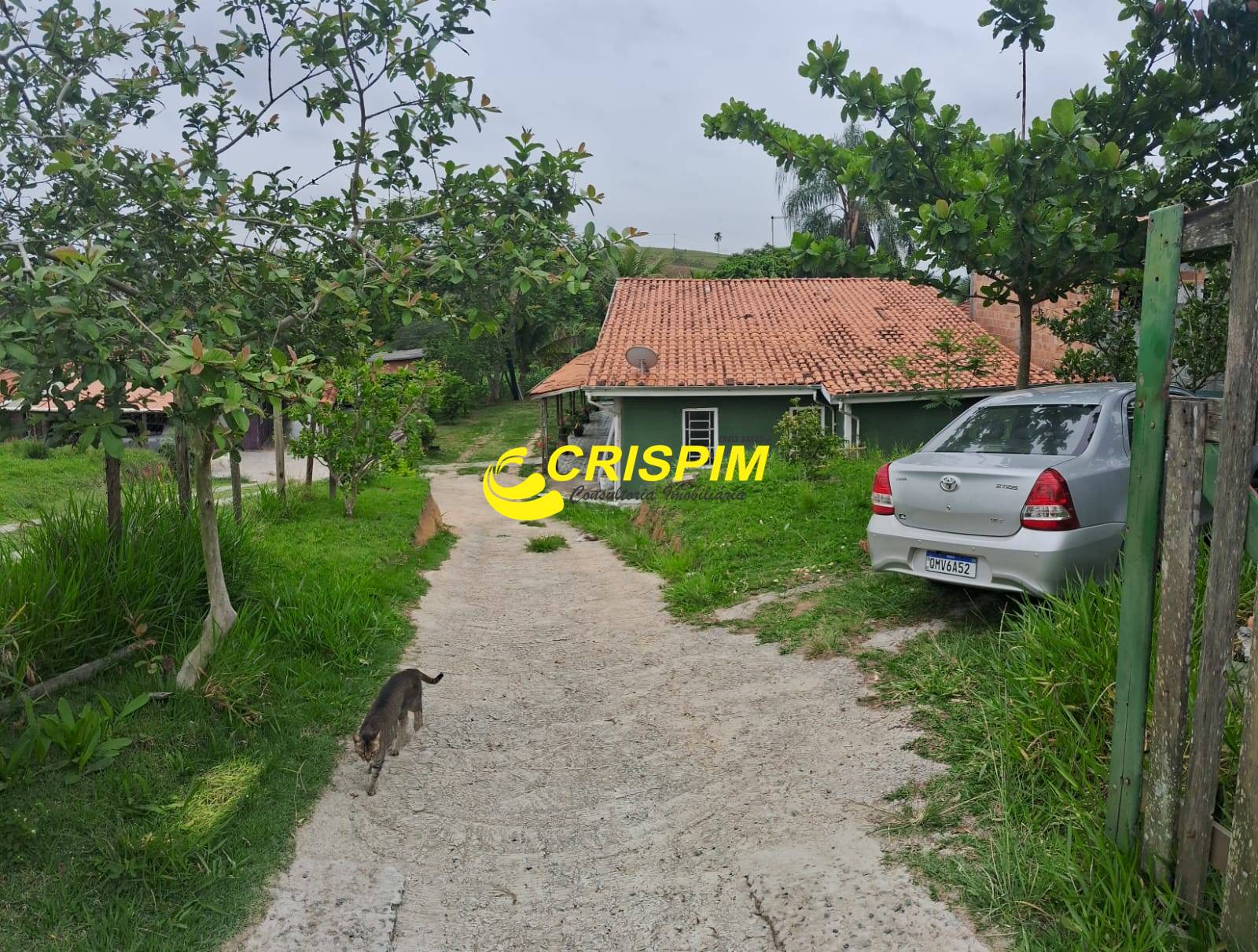 Chácara, 3 quartos, 808 m² - Foto 2