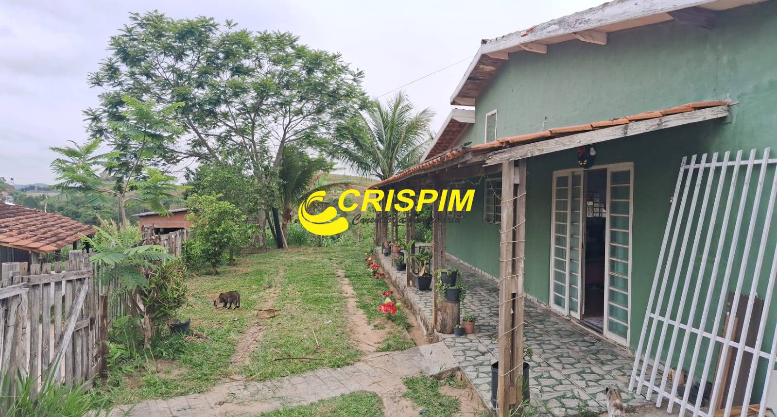 Chácara, 3 quartos, 808 m² - Foto 3