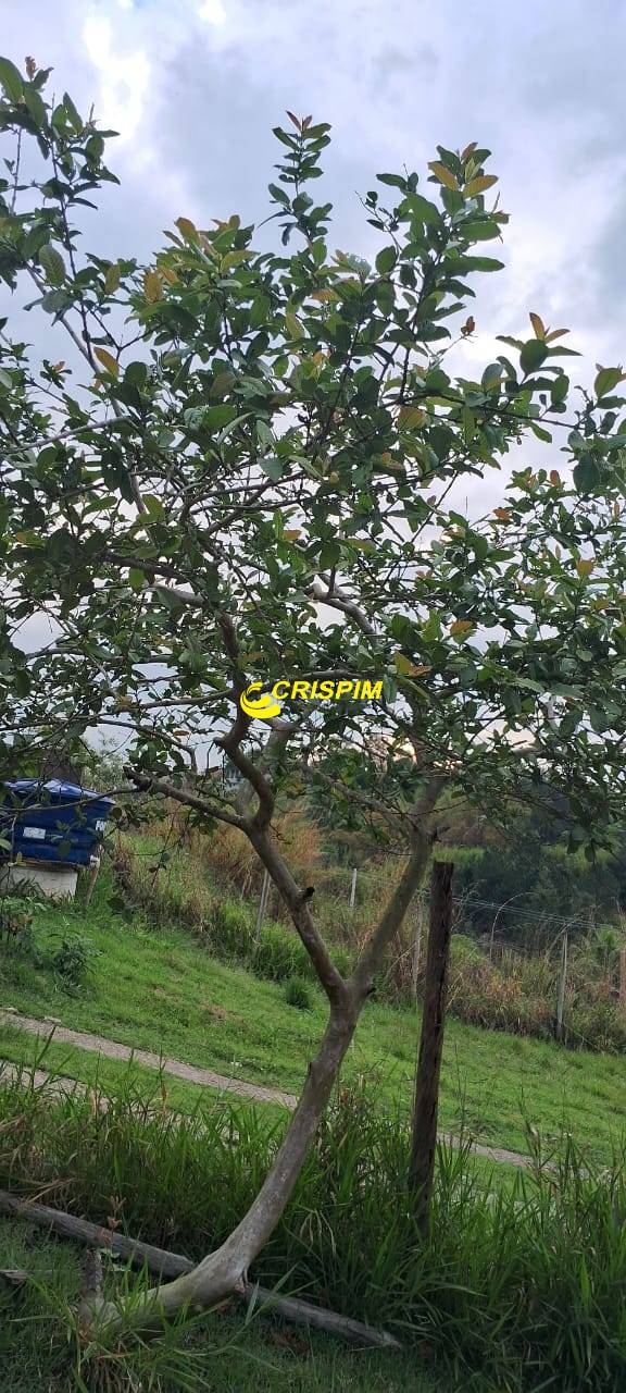 Chácara, 3 quartos, 808 m² - Foto 27