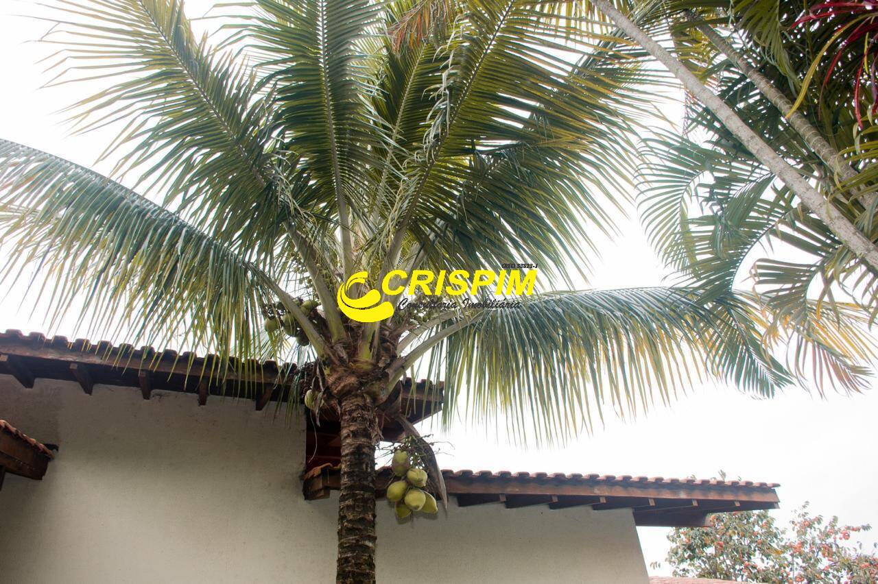 Casa, 4 quartos, 298 m² - Foto 39